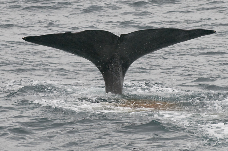 76 Valas Pyrsto 17.jpg - Kunnes hapen saanti oli riittava